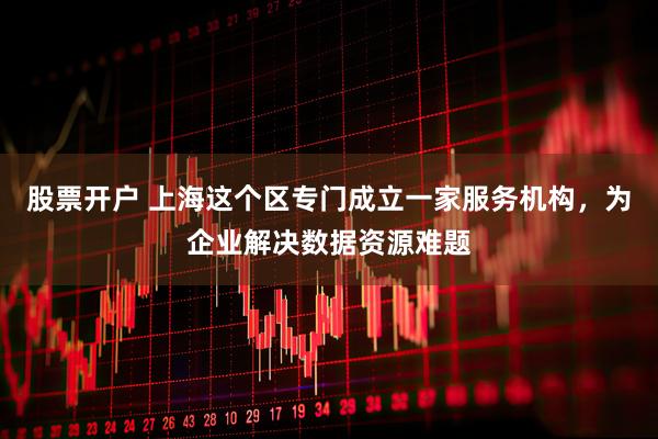 股票开户 上海这个区专门成立一家服务机构，为企业解决数据资源难题