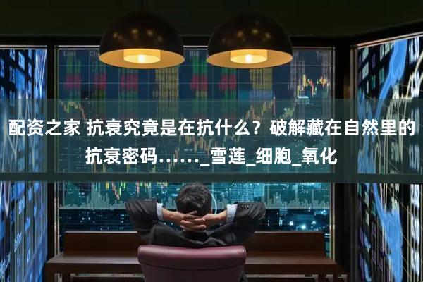 配资之家 抗衰究竟是在抗什么？破解藏在自然里的抗衰密码……_雪莲_细胞_氧化