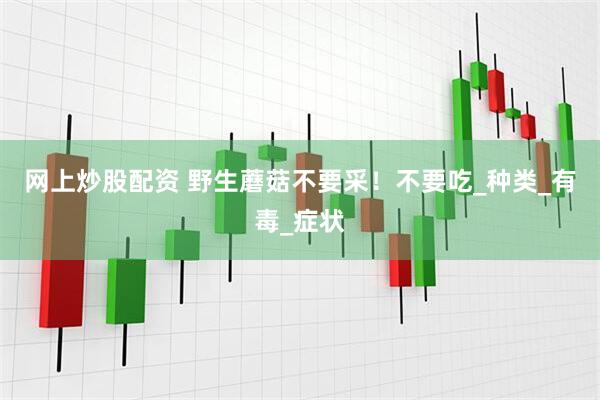 网上炒股配资 野生蘑菇不要采！不要吃_种类_有毒_症状