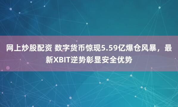 网上炒股配资 数字货币惊现5.59亿爆仓风暴，最新XBIT逆势彰显安全优势